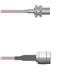 Amphenol Custom Cable Q-040520005012i