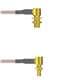 Amphenol Custom Cable Q-2P03H0005012i