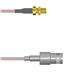 Amphenol Custom Cable Q-2W0030005012i