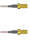 Amphenol Custom Cable Q-710710005007i