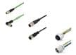 M8 / M12 Connectors & Cordsets