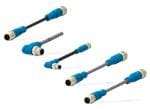 TE Connectivity Sensor Actuator M8 & M12 Cable Assemblies