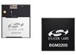 BGM220P/BGM220S Wireless Gecko BLUETOOTH® Modules