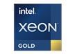 Xeon® Gold Processors (3rd Gen)