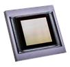 AR0147AT Hayabusa CMOS Digital Image Sensors