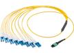 QSFP-DD 16F Cable Assemblies