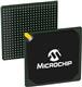 Microchip Technology M2GL150T-1FCVG484I