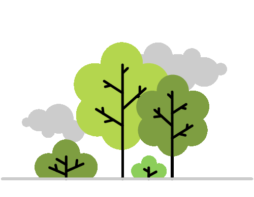 Trees catch fire and completely burn all the leaves off