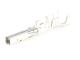 Molex 202988-6242