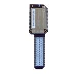 Onion OM-D-BB Enlarged Image