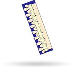 Qorvo TGF2023-2-10 Enlarged Image